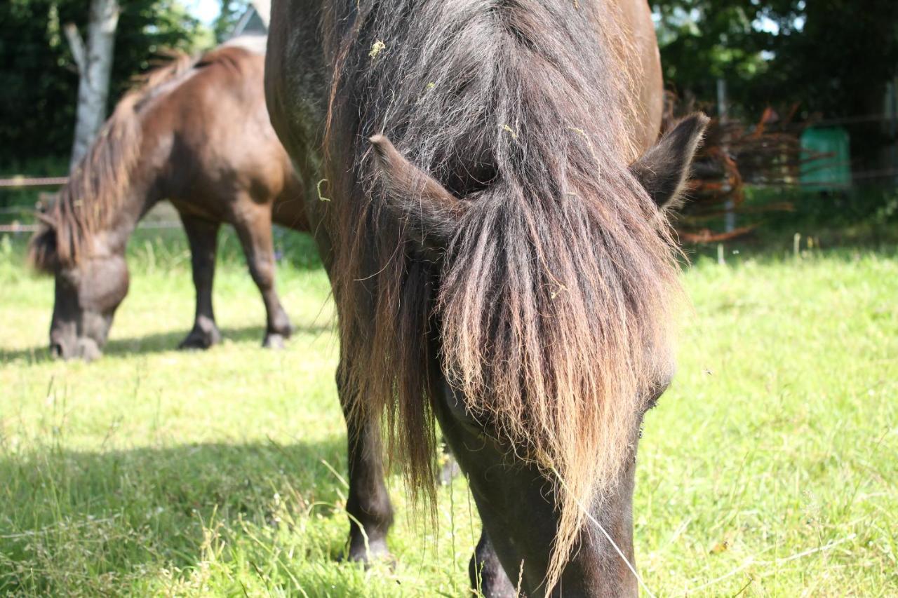 Ferienhof Felix Scharbeutz Zewnętrze zdjęcie